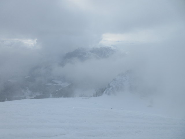 zwischen Trattberg und Vordertrattbergalm