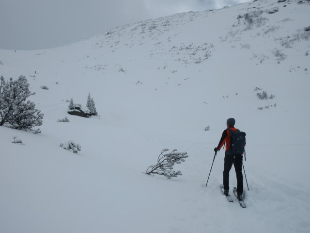 Frank zwischen Plannerkessel und Goldbachscharte