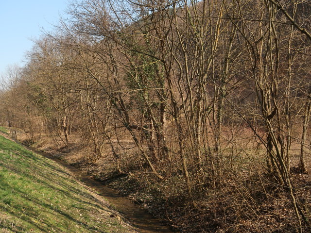 Dürre Liesing zwischen Waldmühle und Rodaun