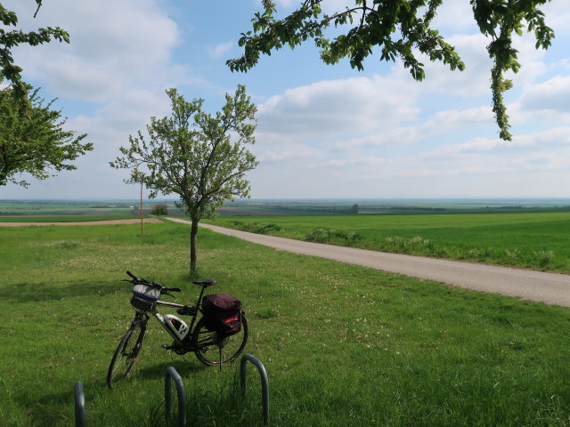 zwischen Bernhardsthal und Altlichtenwarth