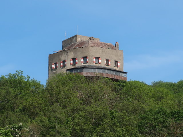 Burg Greifenstein