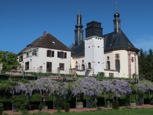 Schlosskirche in Blieskastel (19. Mai)