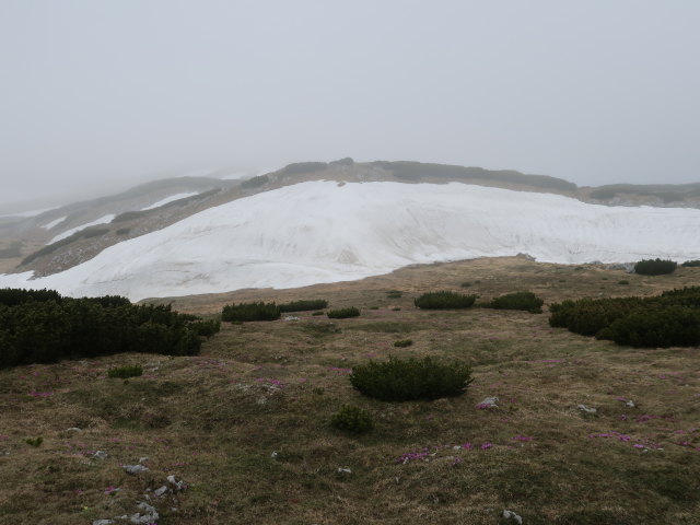 zwischen Klobentörl und Jahnkreuz