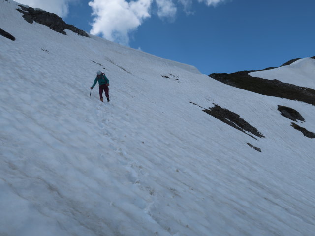 Ursa zwischen Schwarzer Furka und In der Enge (9. Juni)