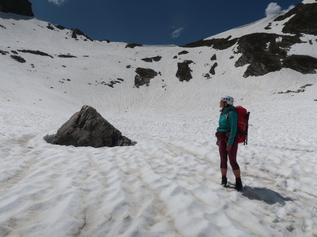 Ursa zwischen Schwarzer Furka und In der Enge (9. Juni)