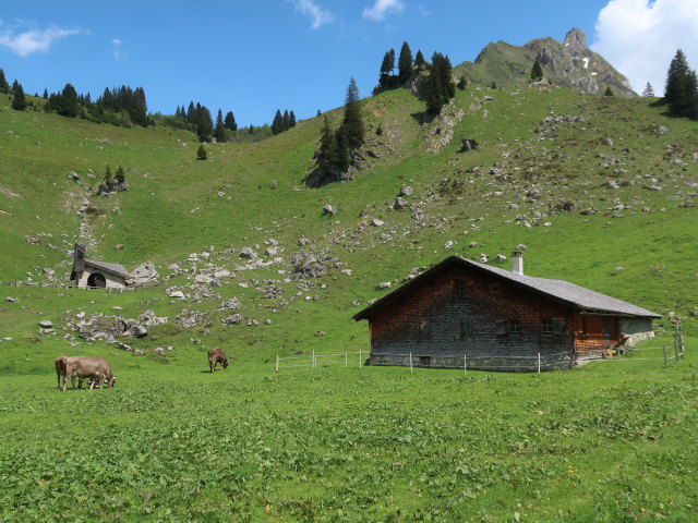 Laguzalpe, 1.584 m (9. Juni)