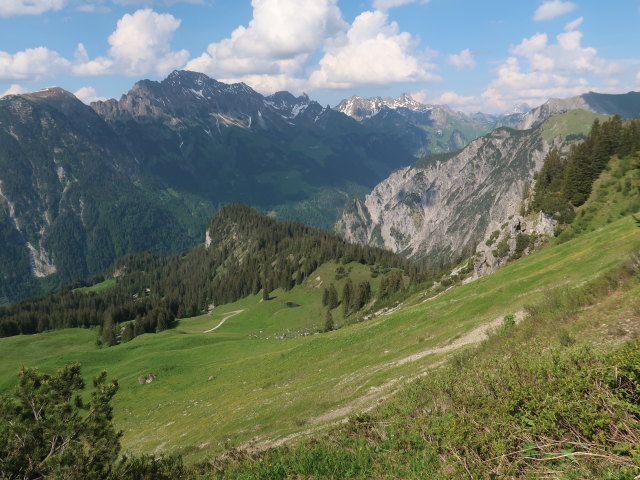 zwischen Oberpartnomalpe und Glattmar (9. Juni)