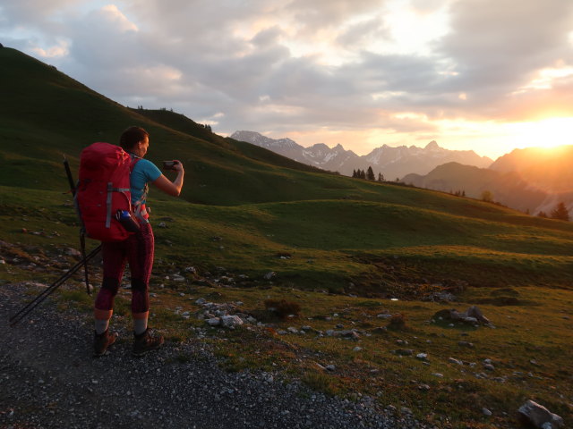 Ursa zwischen Oberpartnomalpe und Sättele (10. Juni)