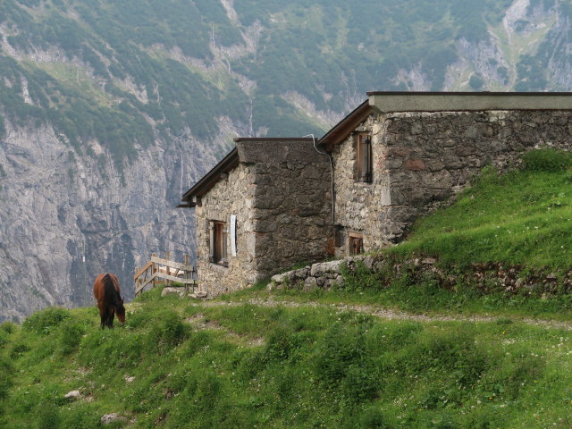 Disnerbergalpe, 1.626 m (10. Juni)