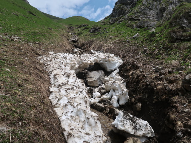 zwischen Disnerbergalpe und Muttawangjoch (10. Juni)