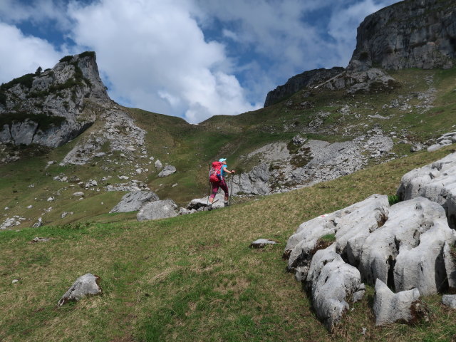 Ursa zwischen Oberer Ischkarneialpe und Töbelejoch (11. Juni)