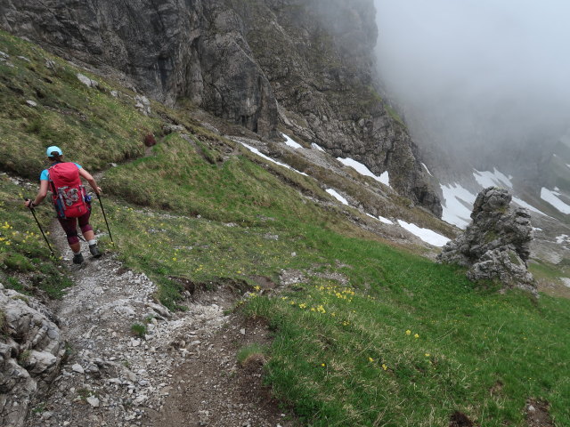 Ursa zwischen Töbelejoch und Töbelealpe (11. Juni)
