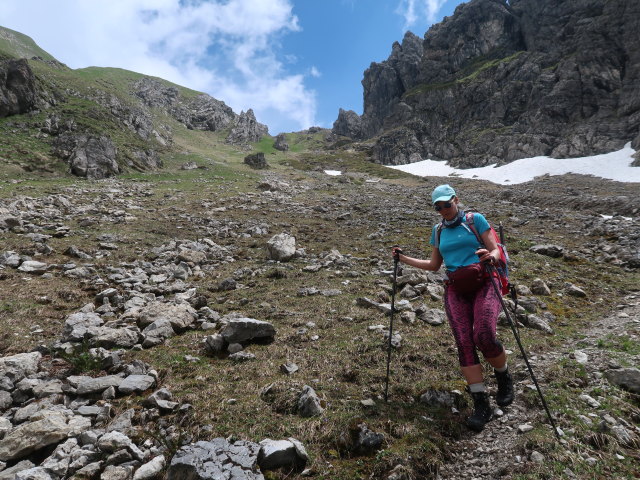 Ursa zwischen Töbelejoch und Töbelealpe (11. Juni)