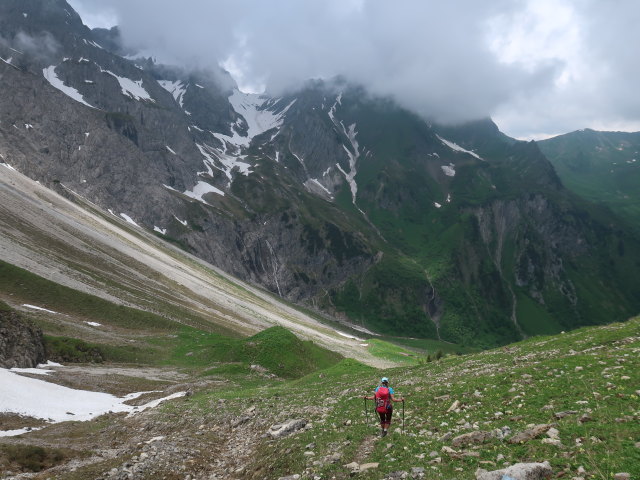 Ursa zwischen Töbelejoch und Töbelealpe (11. Juni)
