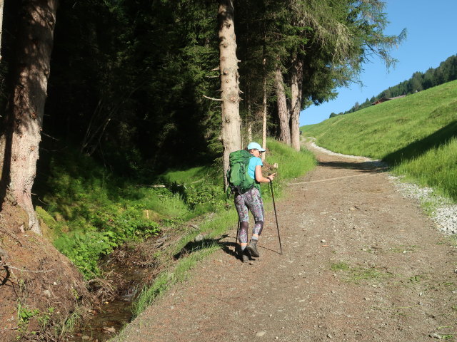 Ursa zwischen Silvestertal und Frondeiger Kirchl