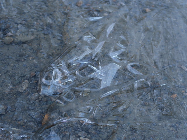 zwischen Kleinitztal und Wallhorntörl (15. Juli)