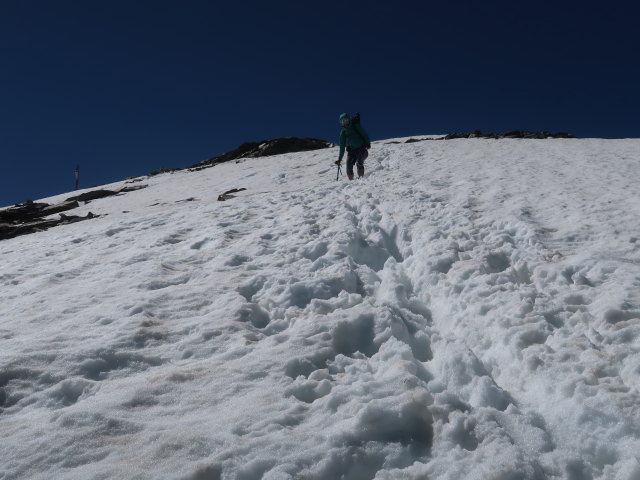 Ursa zwischen Kristallwand und Kristallwand-Klettersteig (15. Juli)