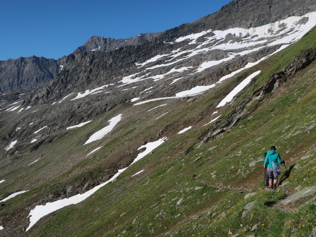 Christian und Ursa am Venediger Höhenweg zwischen Löbbentörl und Wildenkogelscharte (16. Juli)