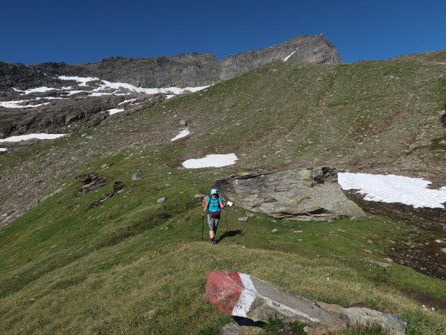 Ursa am Wildenkogelweg zwischen Venediger Höhenweg und Wildenkogelscharte (16. Juli)