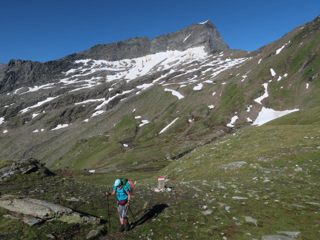 Ursa am Wildenkogelweg zwischen Venediger Höhenweg und Wildenkogelscharte (16. Juli)