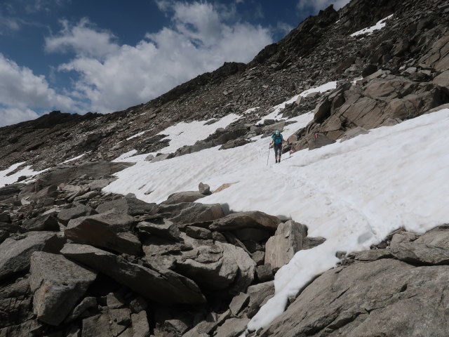 Ursa am Wildenkogelweg zwischen Wildenkogelscharte und Seewand (16. Juli)