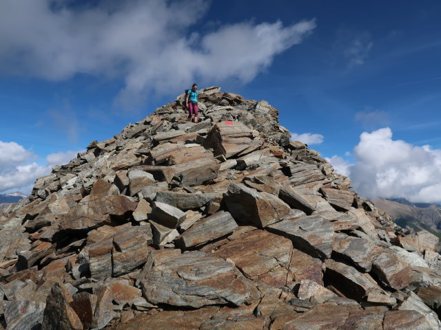 Ursa zwischen Bösem Weibl und Peischlachbach (13. Aug.)