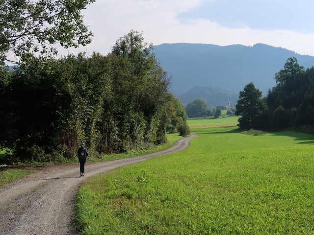 Sabine zwischen Teufenbach und St. Lorenz bei Scheifling