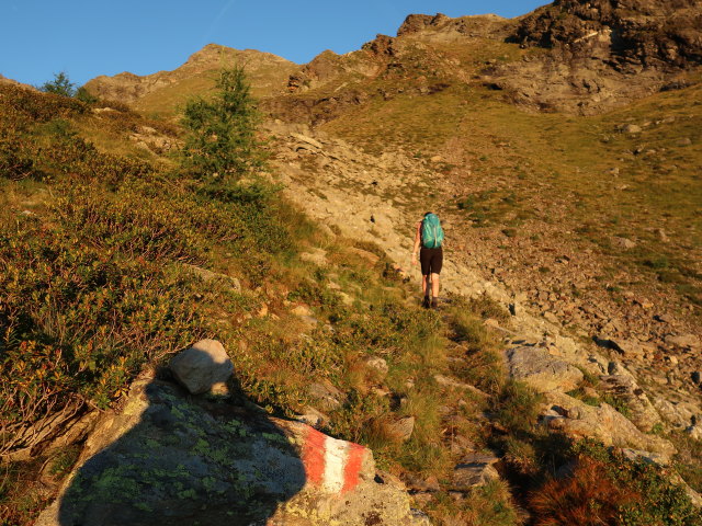 Larissa zwischen Polinikhütte und Mörnigtal (2. Sep.)