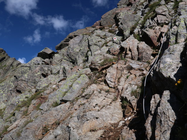 zwischen Kehlluckerlkopf und Eisenriegel (2. Sep.)