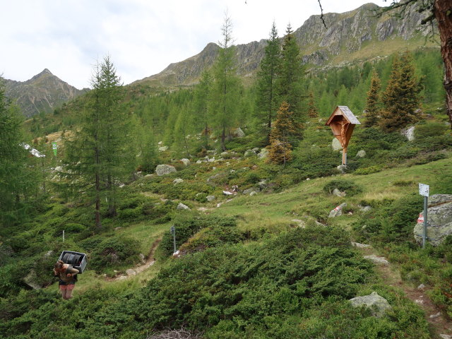 zwischen Salzkofelhütte und Pusarnitzer Alm (3. Sep.)