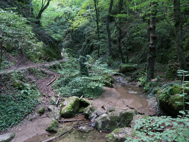 Johannesbachklamm