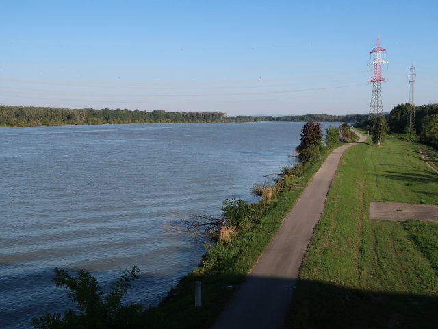 Donau von der Donaubrücke Traismauer aus