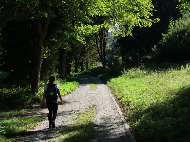 Sabine zwischen Sanatorium Wienerwald und Brunnhof