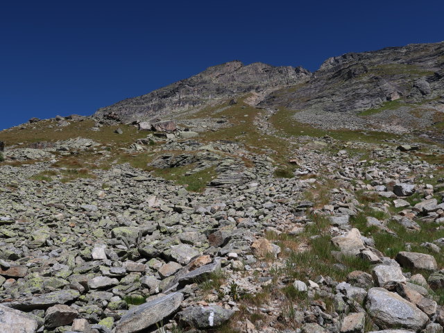 zwischen Ruppalm und Hoher Leier (9. Sep.)