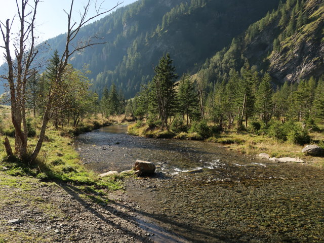 Dösenbach zwischen Konradlacke und Dösner Alm (10. Sep.)