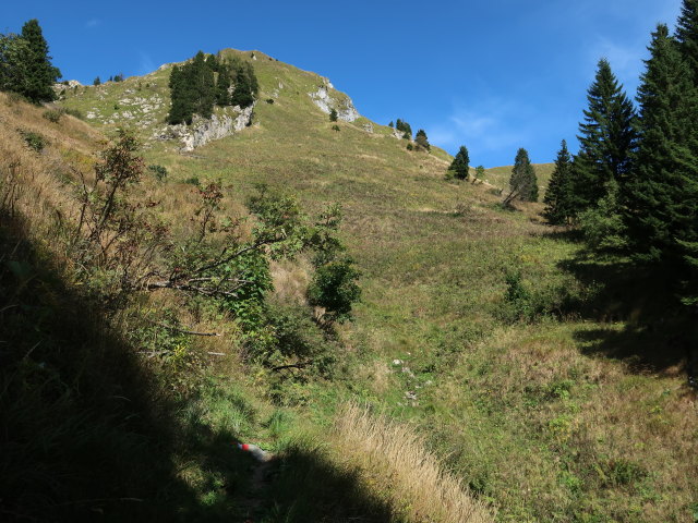 zwischen Lamprechtkogel und Gasthof Valentinalm