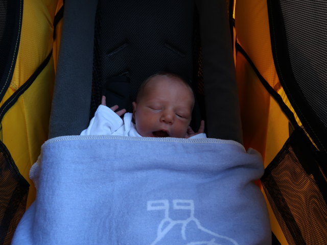 Nils am Süßenbrunner Platz