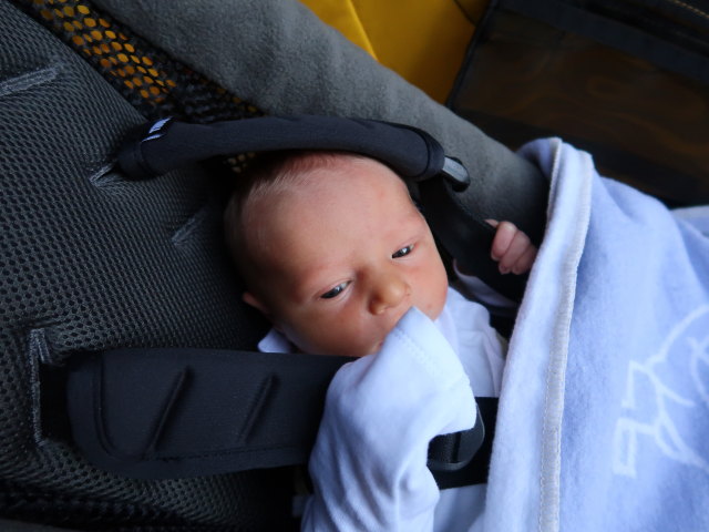 Nils in der Alten Straße