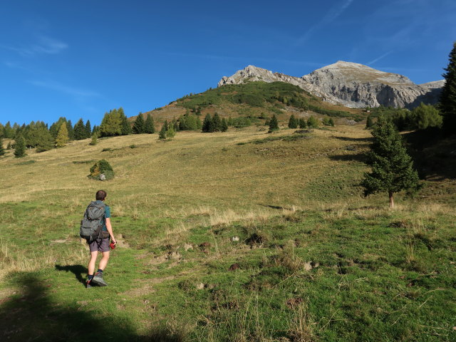 Ronald zwischen Schieferalm und Zmölling