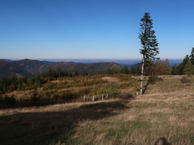 zwischen Lilienfelder Hütte und Klosteralpe