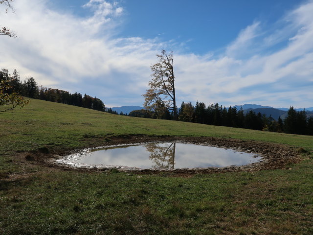 Sternleiten