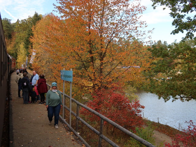 Haltestelle Anglerparadies Hessendorf, 440 m