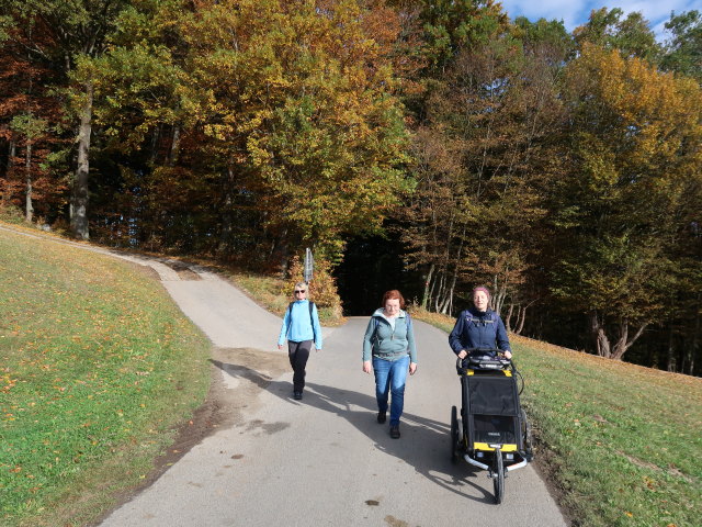 Mama, Brigitte, Sabine und Nils zwischen Dreihöf und Meiselhöhe