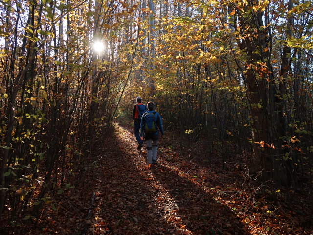 Frank und Carmen zwischen Hainfeld und Unterdörfl