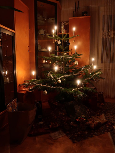 im Haus meiner Eltern (24. Dez.)