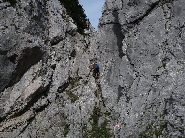 Frank am Mannlgrat (8. Sep.)