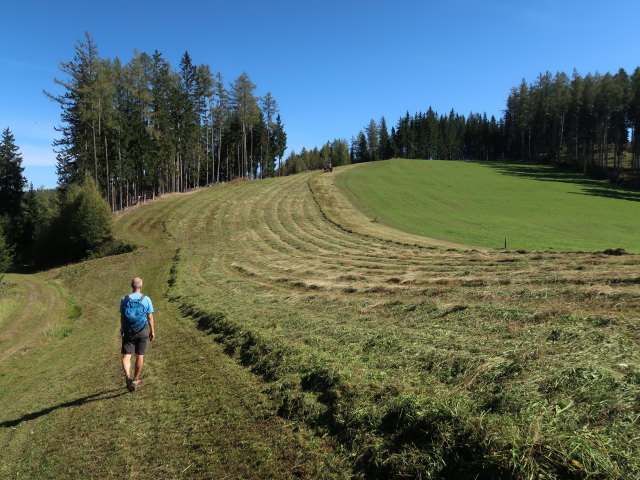 Frank zwischen Rosskogel und Hochegg
