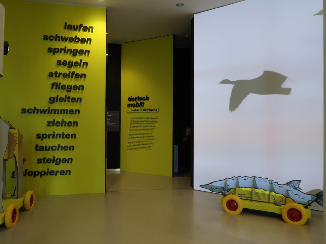 Sonderausstellung 'Tierisch mobil! Natur in Bewegung'