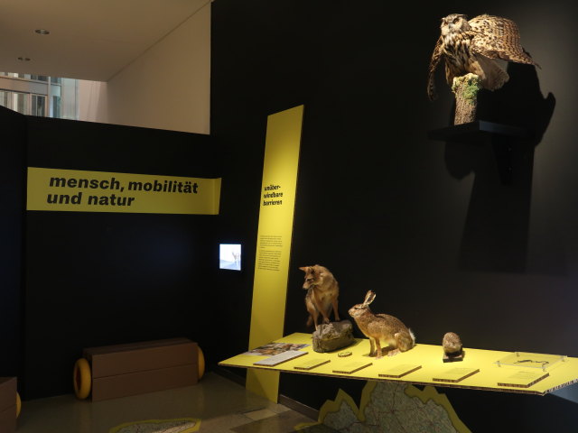 Sonderausstellung 'Tierisch mobil! Natur in Bewegung'