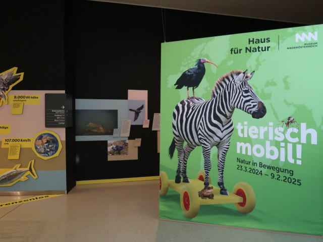 Sonderausstellung 'Tierisch mobil! Natur in Bewegung'